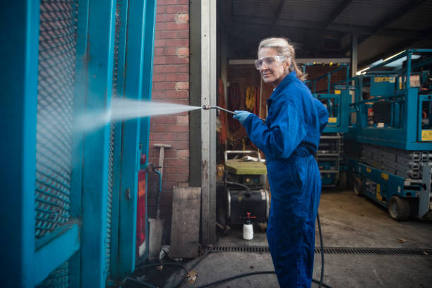 Best Pre-Holiday Cleaning  in La Harpe, IL