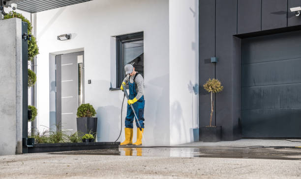 Best Pool Deck Cleaning  in La Harpe, IL